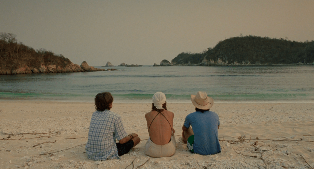 Il Mio 2025 Cinematografico