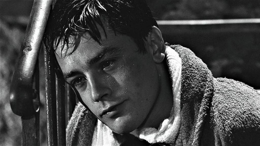 Capitolo 431: Cinema e i Suoi&nbsp;Fratelli